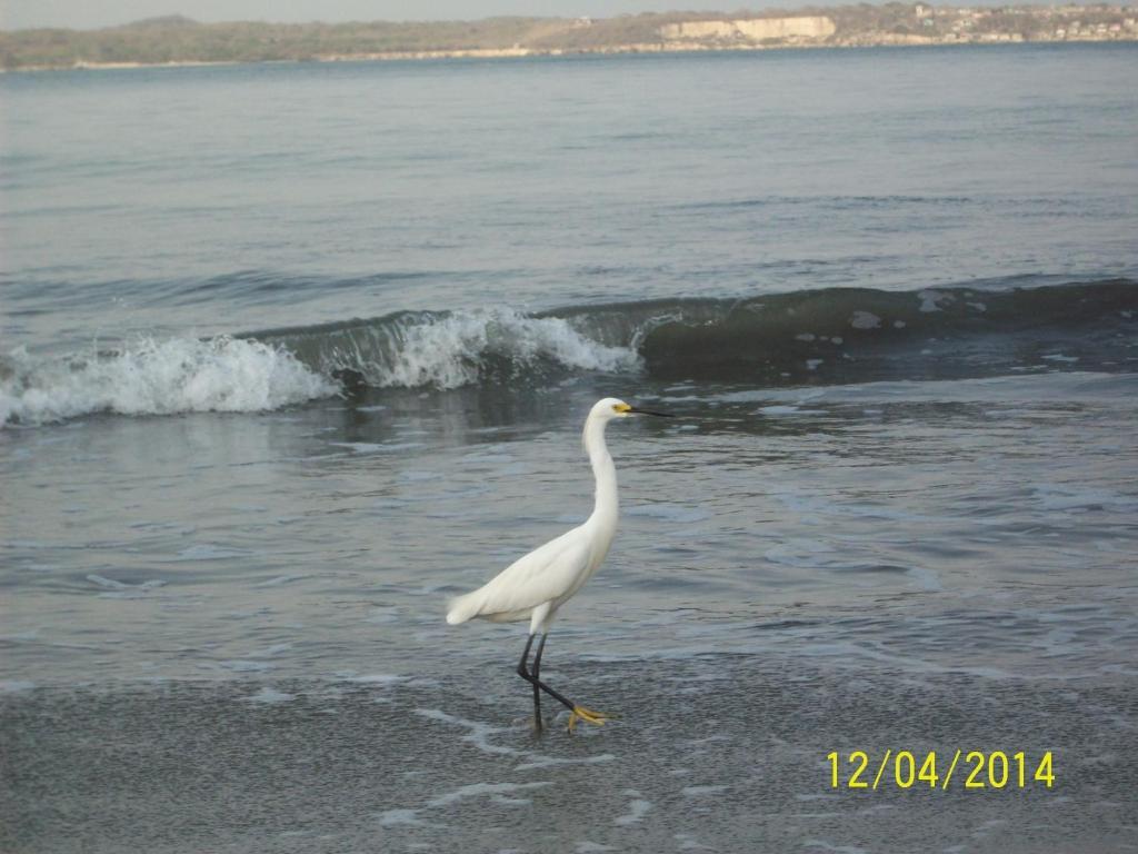 Apartamento Laguito Frente Al Mar Daire Cartagena Dış mekan fotoğraf